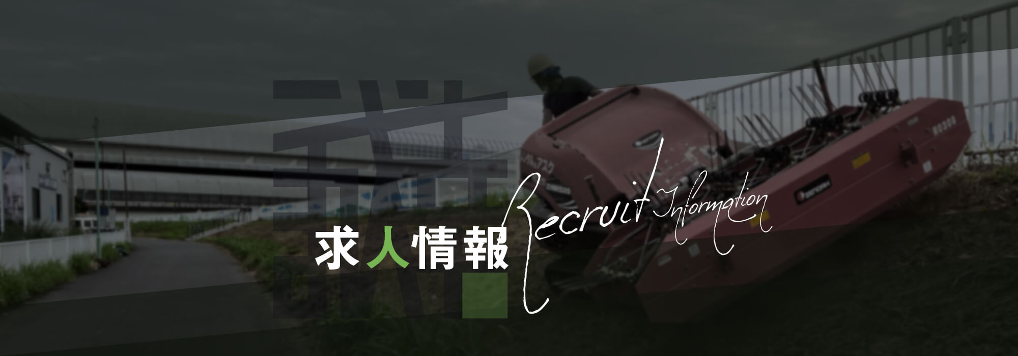 求人情報